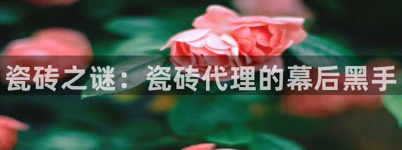 必一体育登陆