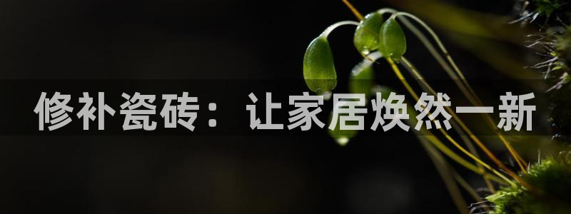 必一体育秀给网