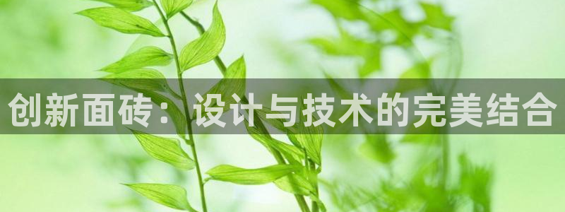 必一体育app下载最新版本