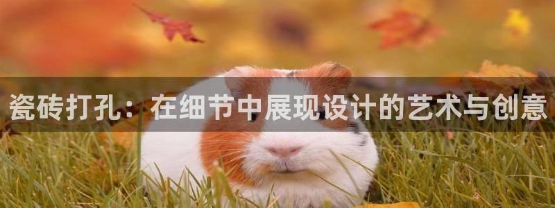 必一体育bsport2023-04-21
