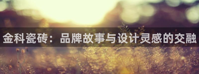 必一体育登录