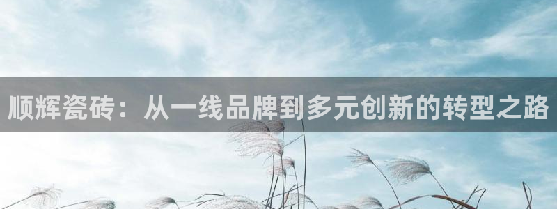 必一体育sport
