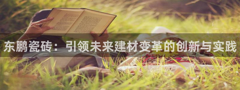 必一体育bsport下载