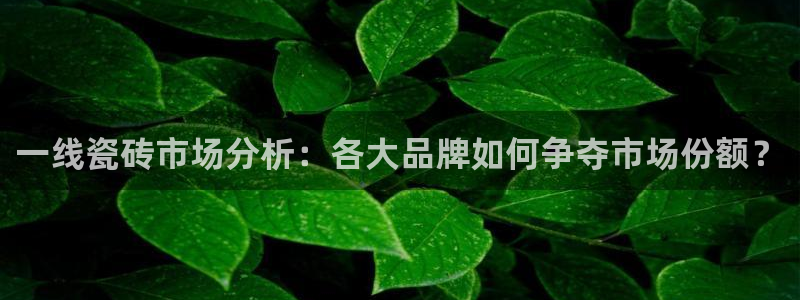 必一运动 b 体育素描版