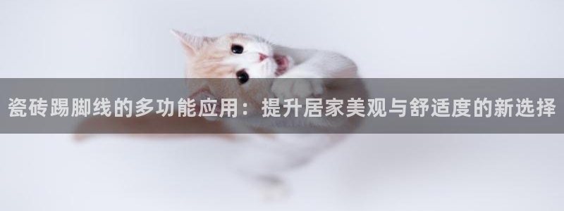 必一体育官网入口