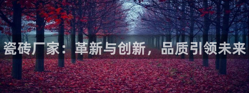 必一体育sport官方网站