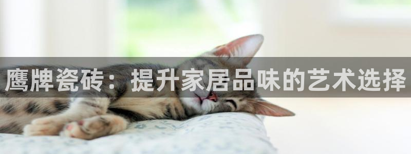 必一体育app下载