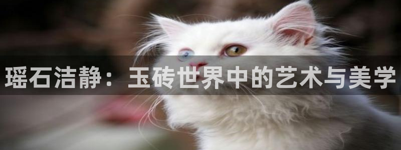 必一体育网页登录版官网