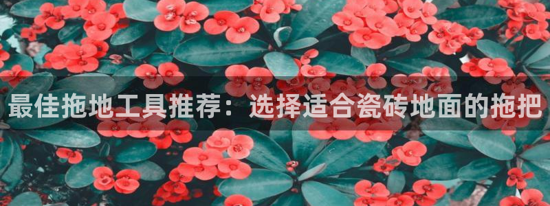 必一体育黑钱